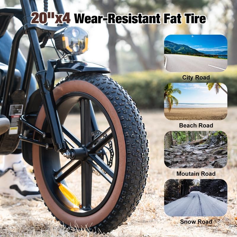EK30 1000W Electric Bike for Adults, 20 x 4.0 Fat Tire Electric Bicycle, Up to 30MPH  60 Miles, 48V 15AH Removable Battery Ebike, 7-Speed, Mountain Snow Electric Dirt Bike