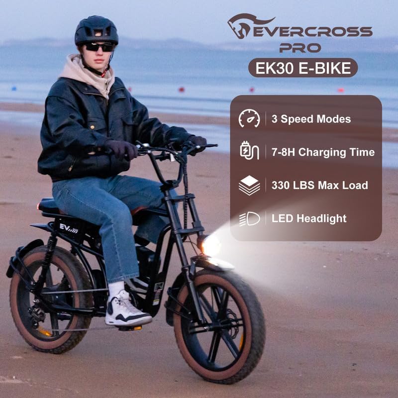 EK30 1000W Electric Bike for Adults, 20 x 4.0 Fat Tire Electric Bicycle, Up to 30MPH  60 Miles, 48V 15AH Removable Battery Ebike, 7-Speed, Mountain Snow Electric Dirt Bike