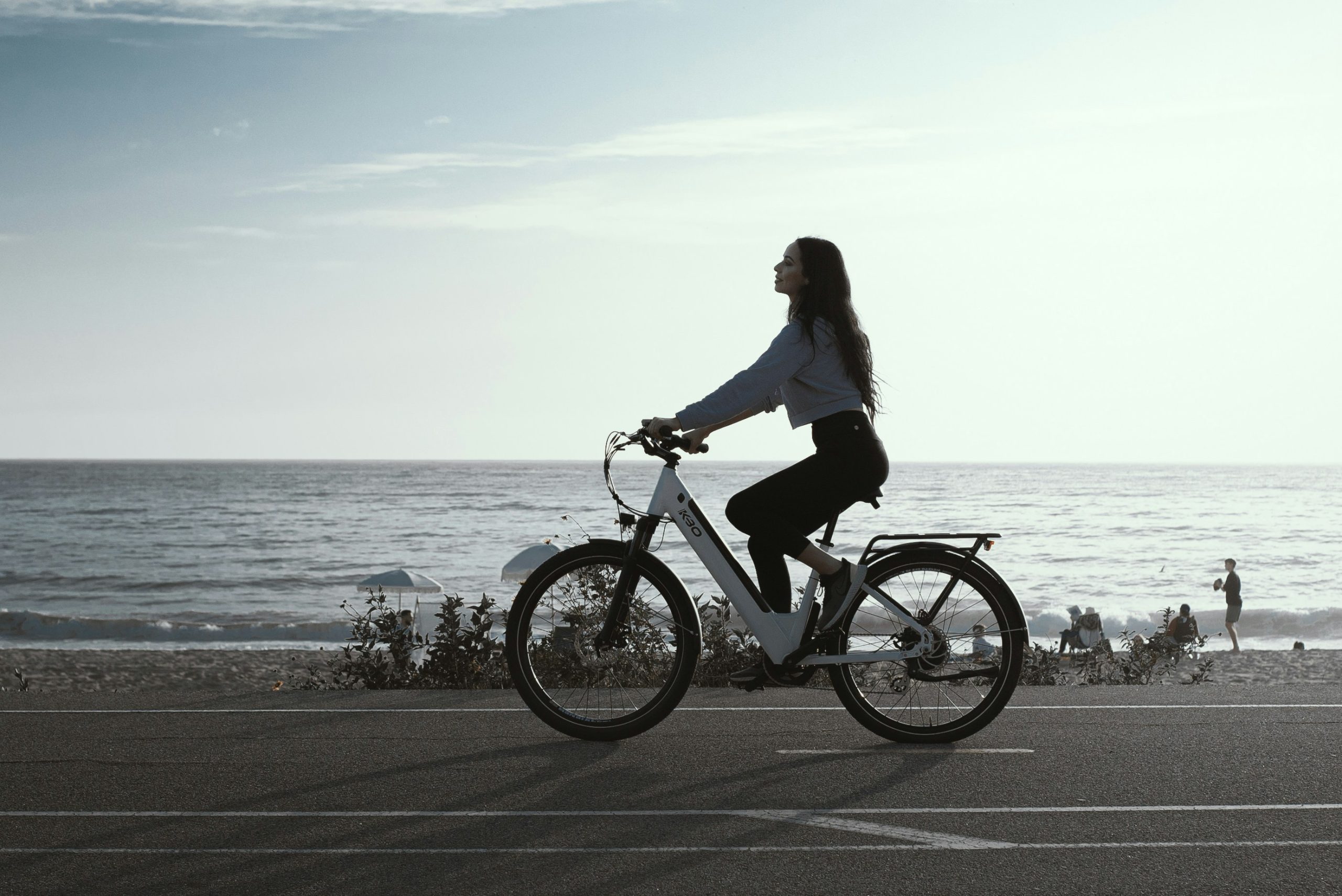 The Most Powerful Electric Bike