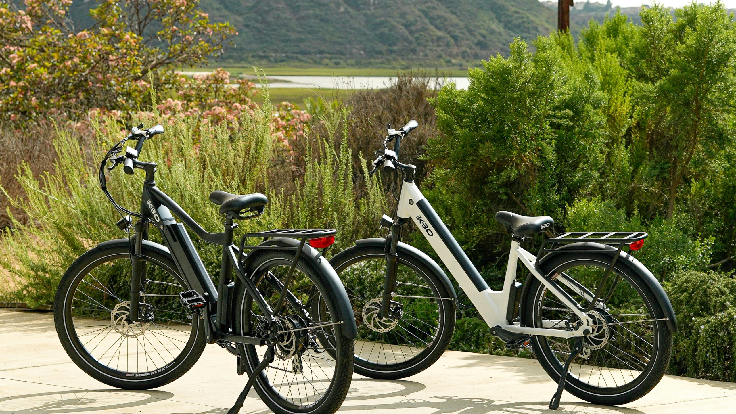Are e-Bikes Worth It? (The Electric Bike Revolution Explained!)