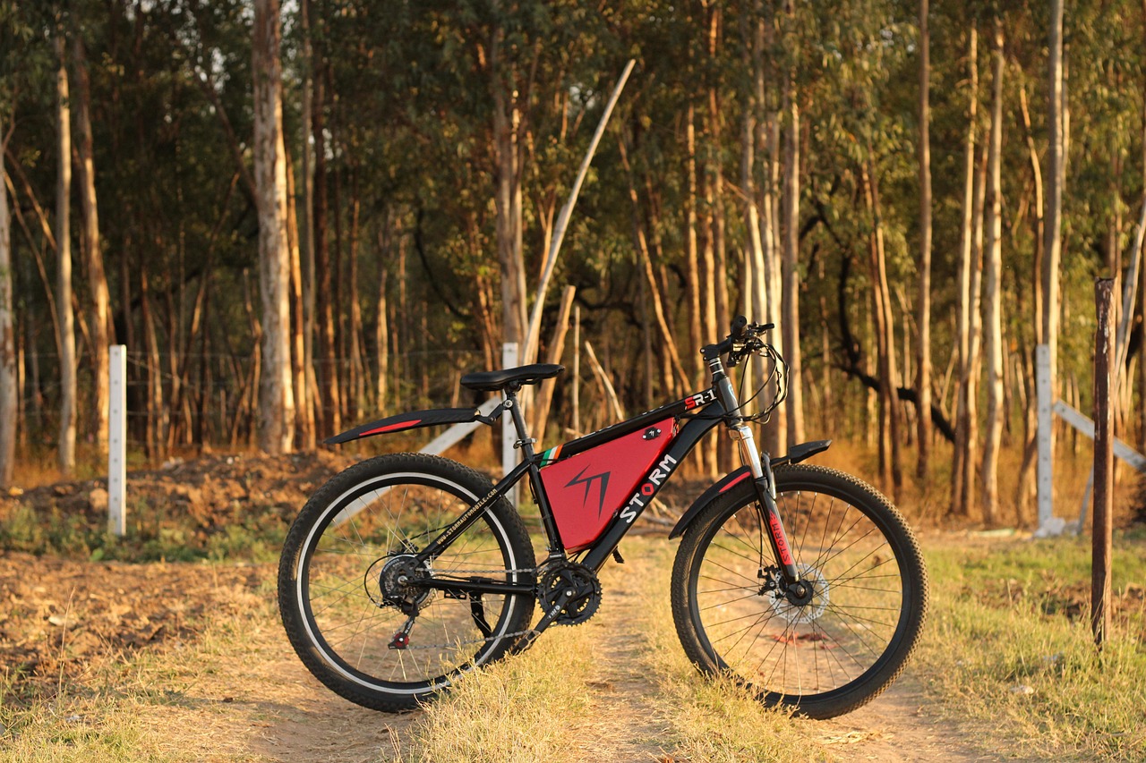 The top 7 BEST electric bikes in 2025