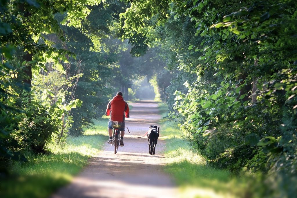 What Type Of Battery Charger Is Compatible With Electric Bicycles For Hunting?