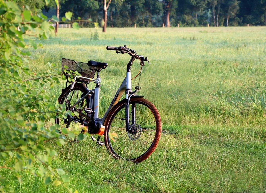 What Type Of Battery Charger Is Compatible With Electric Bicycles For Hunting?