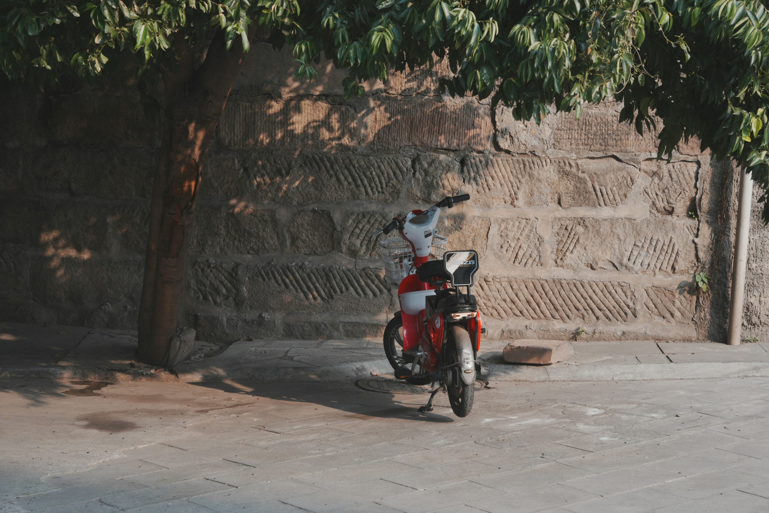 13 Best Electric Bikes For Seniors 2025 | The Most Comfortable, Stable, and Easy To Use Rides!