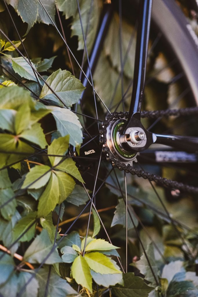 Can I convert a regular bicycle wheel into an electric bicycle wheel for hunting? — 7 Expert Tips Can I convert a regular bicycle wheel into an electric bicycle wheel for hunting? — 7 Expert Tips
