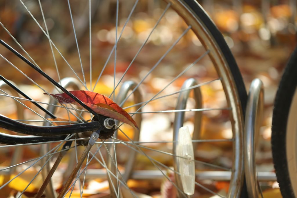 Can I convert a regular bicycle wheel into an electric bicycle wheel for hunting? — 7 Expert Tips Can I convert a regular bicycle wheel into an electric bicycle wheel for hunting? — 7 Expert Tips