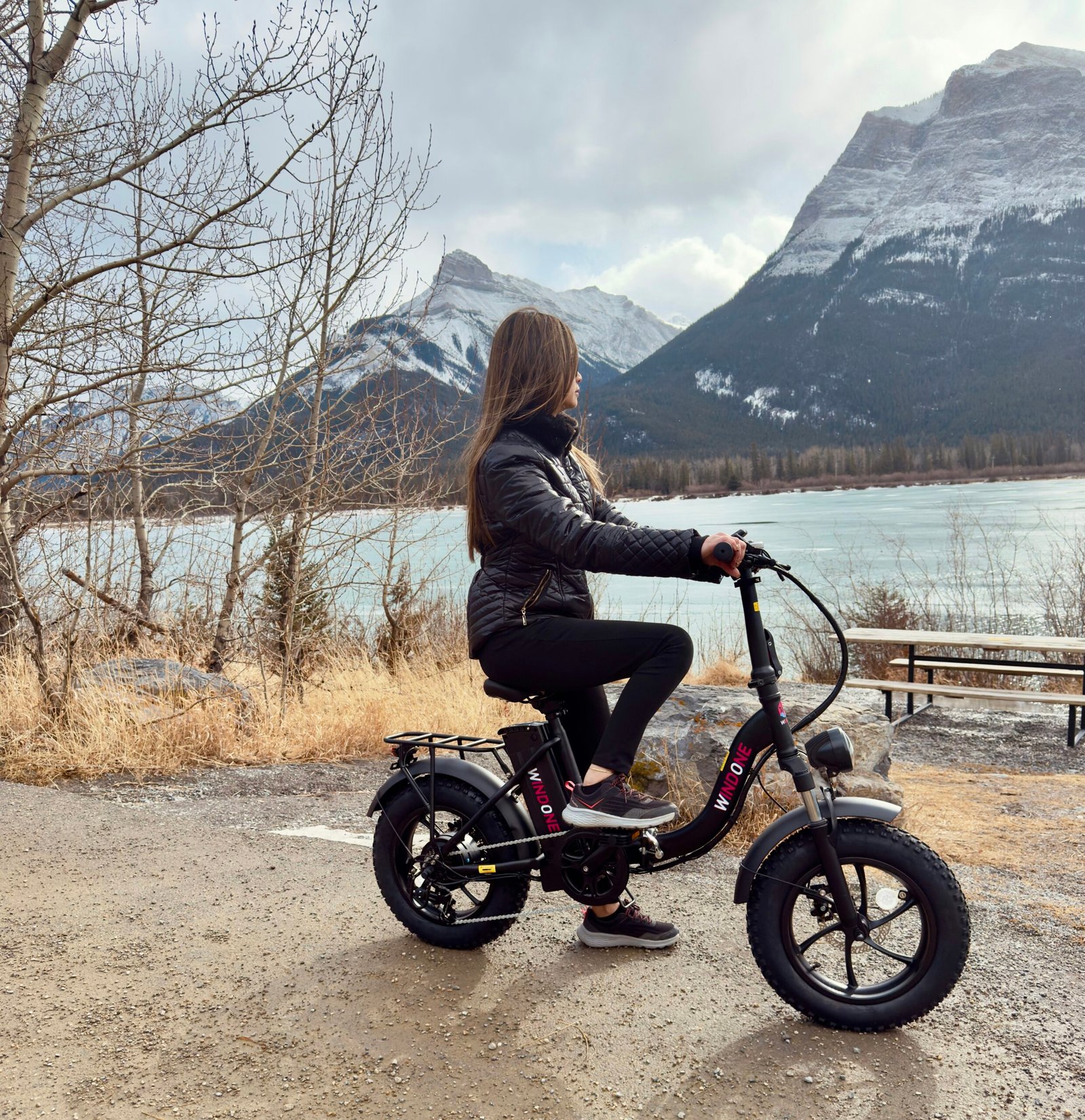 DYU D3F Mini Folding Electric Bike Review, Specs  Guide