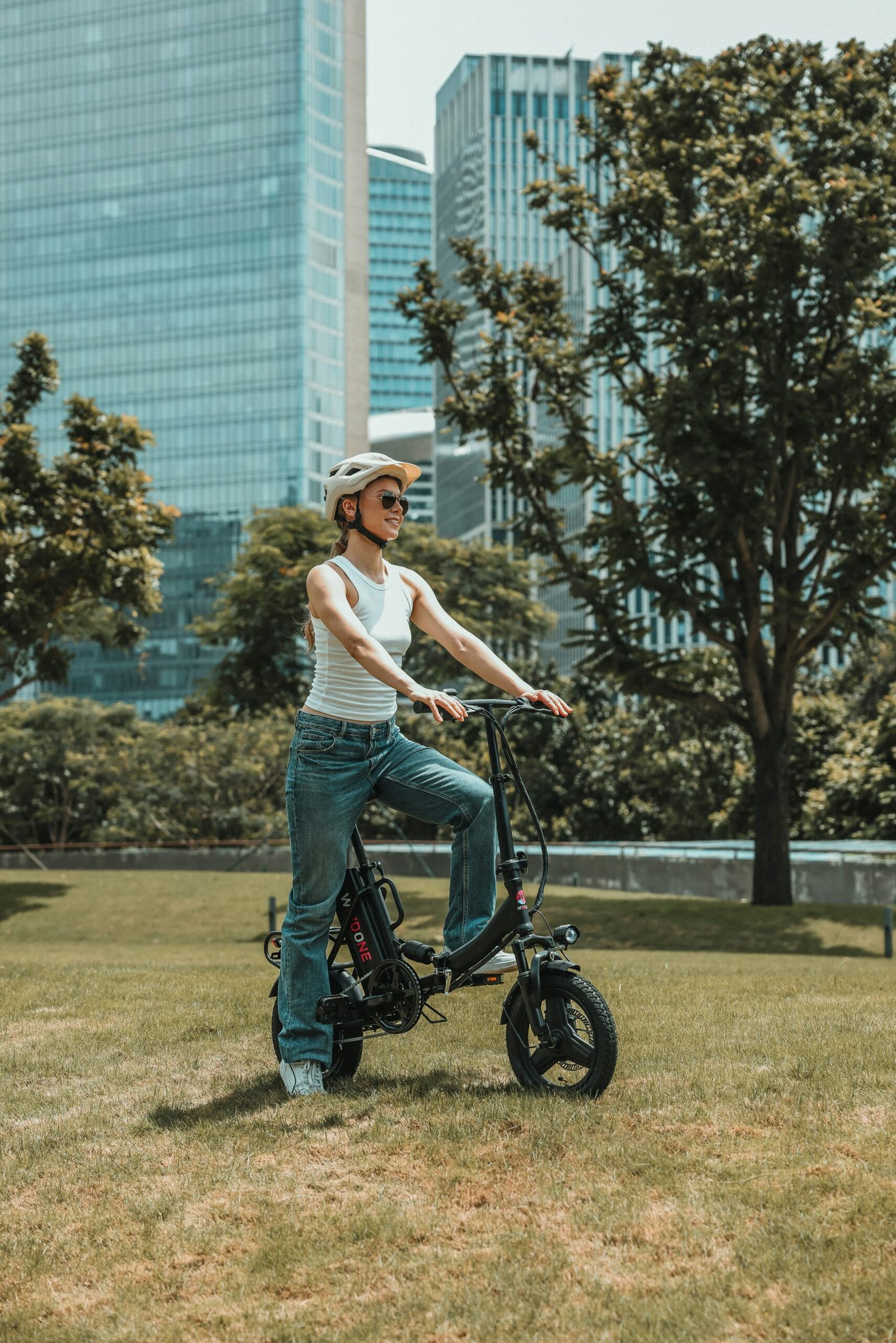 DYU D3F Mini Folding Electric Bike Review, Specs & Guide