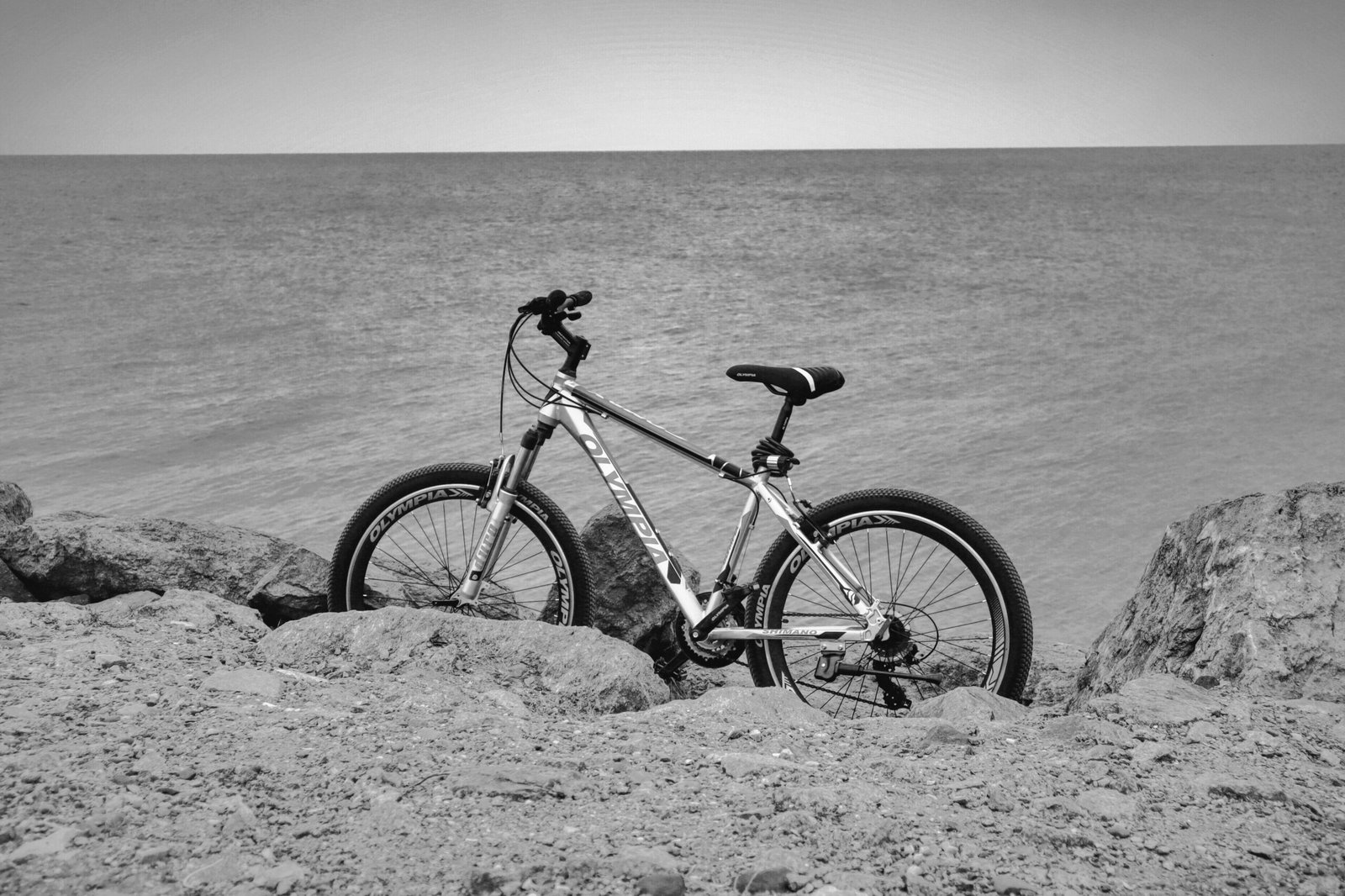 Electric Bike Kits Reviewed — Best Conversions & Batch Step-Thru
