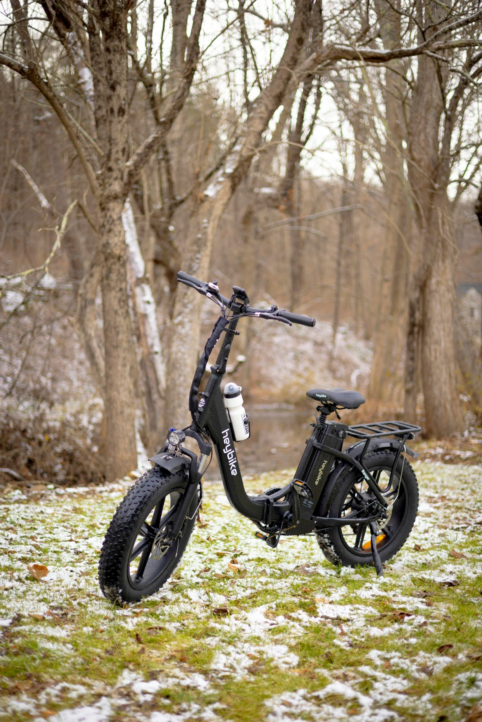 Folding Electric Bike for Adults, 20×3.0 Fat Tire Electric Bicycle, 374.4Wh Battery Ebike, 20MPH Electric Cargo Bike with LCD Color Display Speed Gears (Fits for 50+)