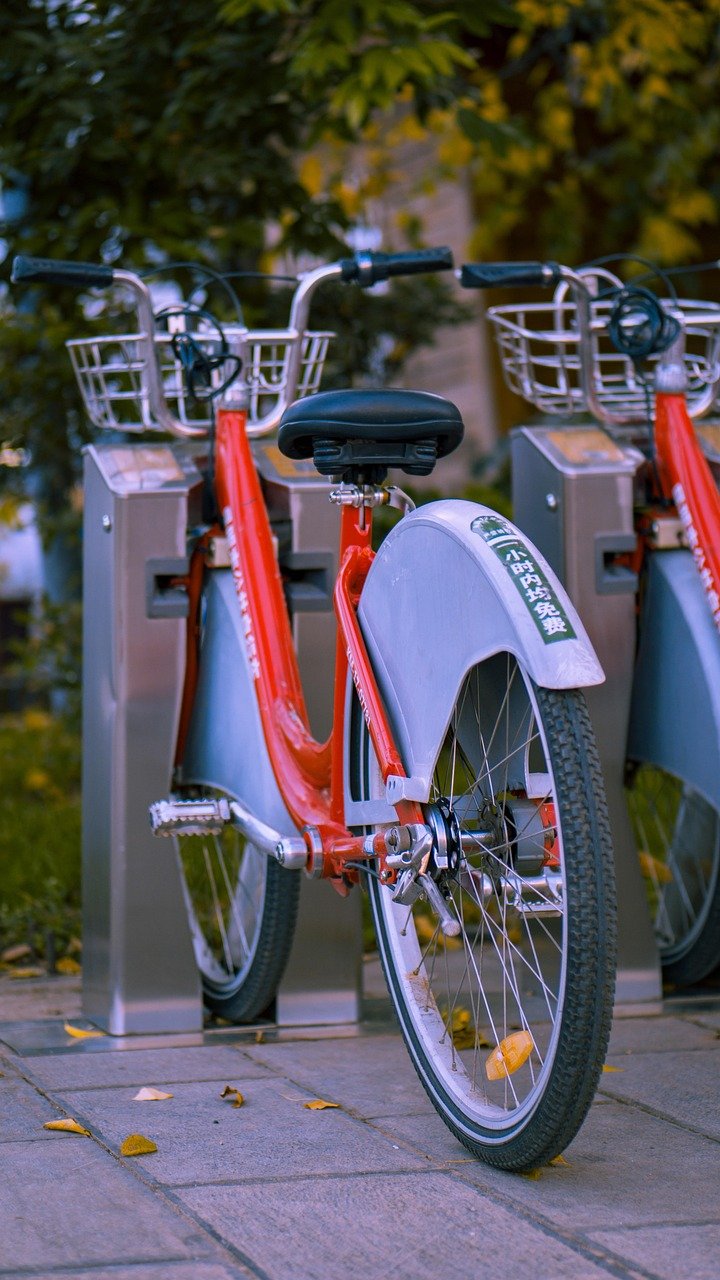 Is Scott known for producing quality electric bicycles for hunting? — Expert Guide [10 Facts]
