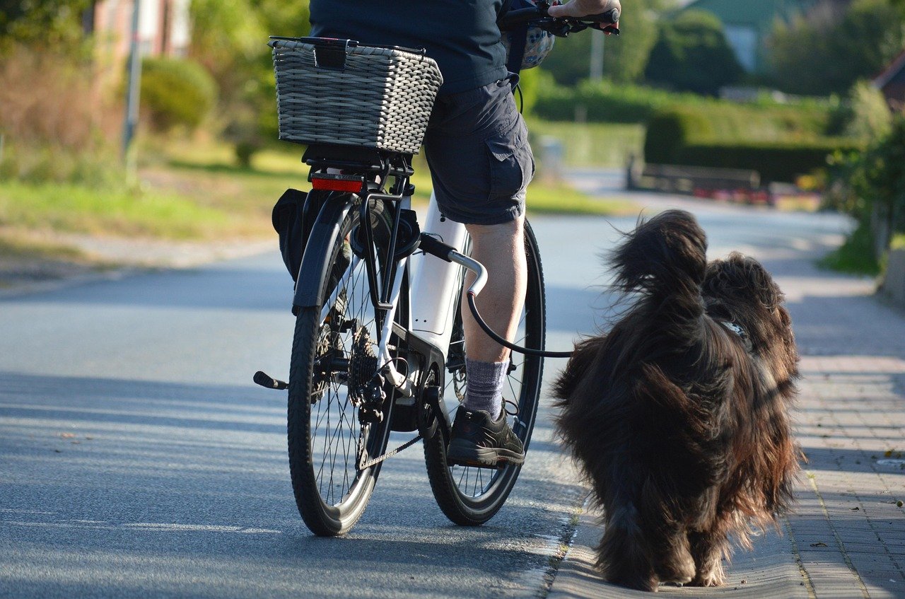 Is Scott known for producing quality electric bicycles for hunting? — Expert Guide [10 Facts]