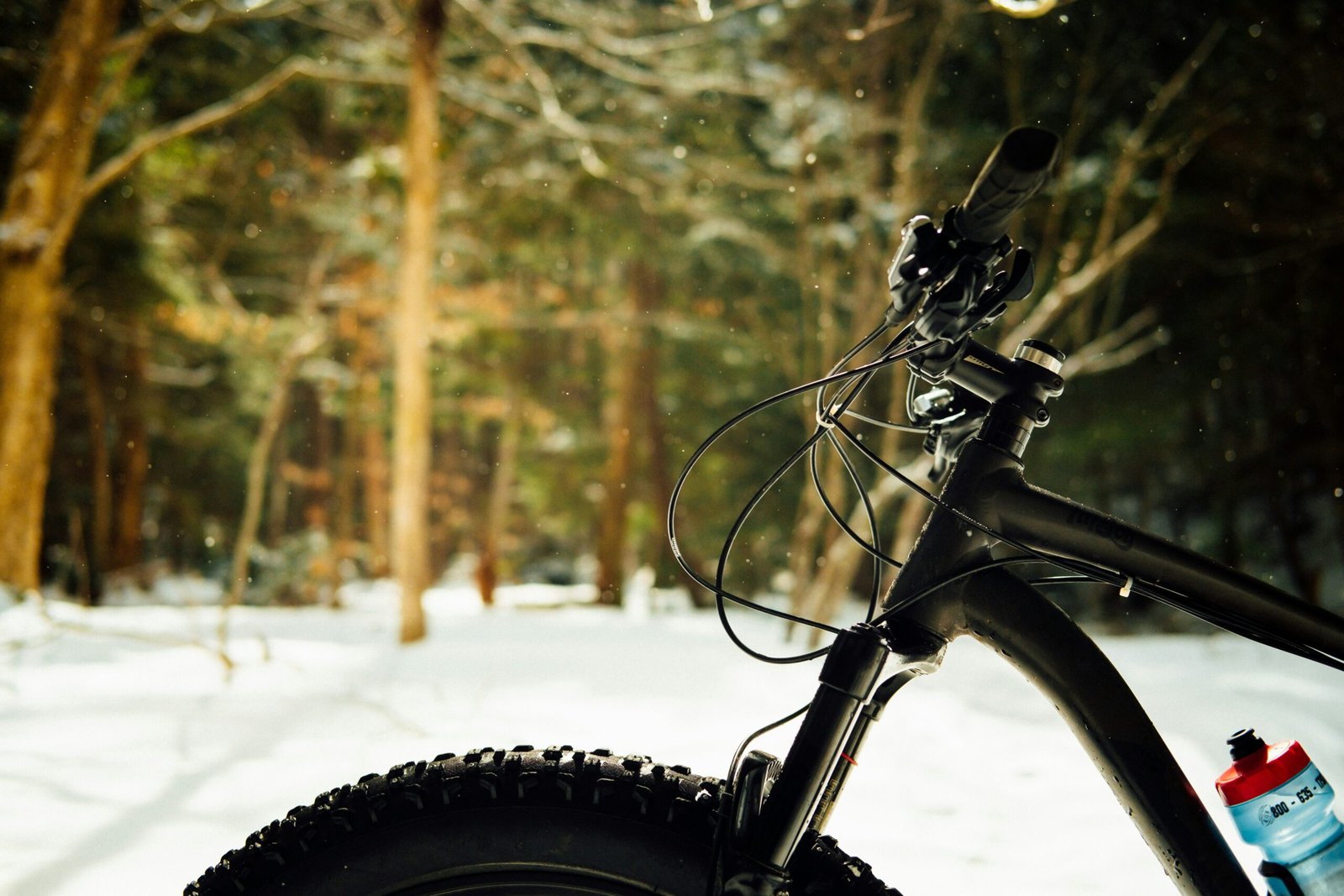 Red Fatbike E-Bike Review: 21-Gear Electric MTB Guide
