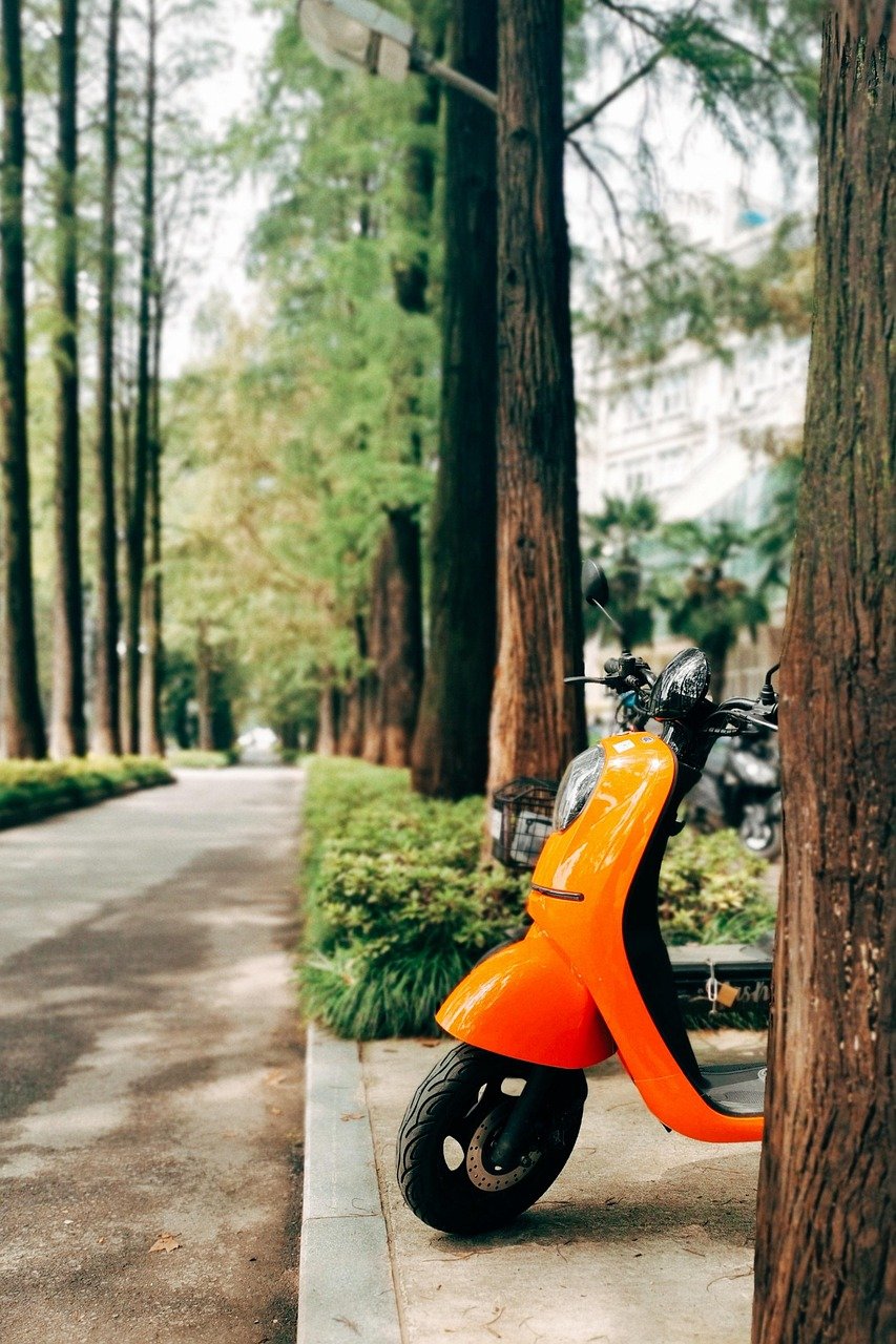What Is The Advantage Of Using An Electric Bicycle With A Throttle For Hunting?