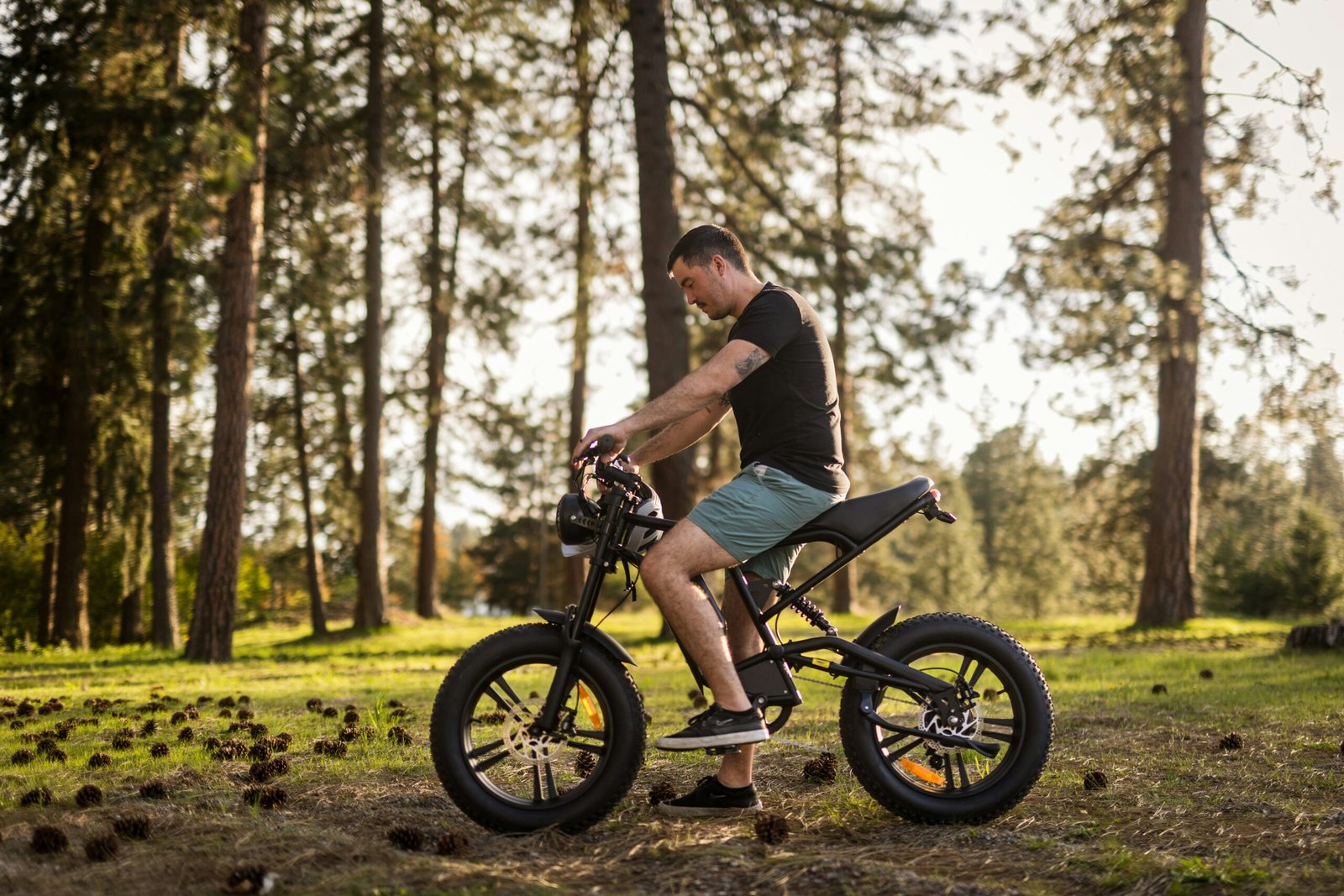Windone E20/K2 Electric Bike for Adults, Max/28 MPH/46.6 Miles Range, 20×3/4 Tire and/750W Motor Ebike, Speed Urban Commuter Electric Bicycle, 36V10.4AH / 48V13AH Removable Battery
