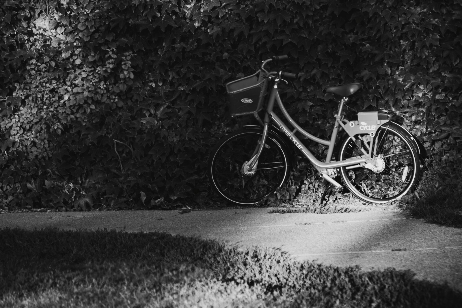Electric Cycle Without Battery: How the Light Works