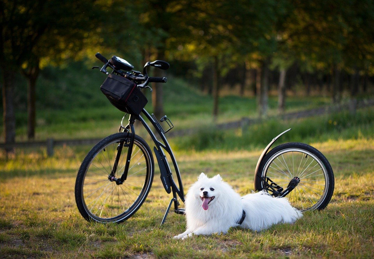 What Is The Battery Capacity Of A Nakto Electric Bicycle For Hunting?